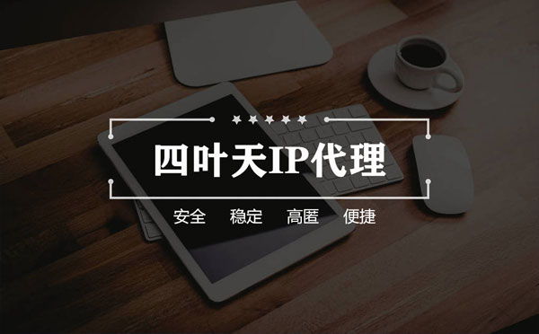 【阿坝代理IP】如何快速搭建代理IP？怎么检查代理的效果？